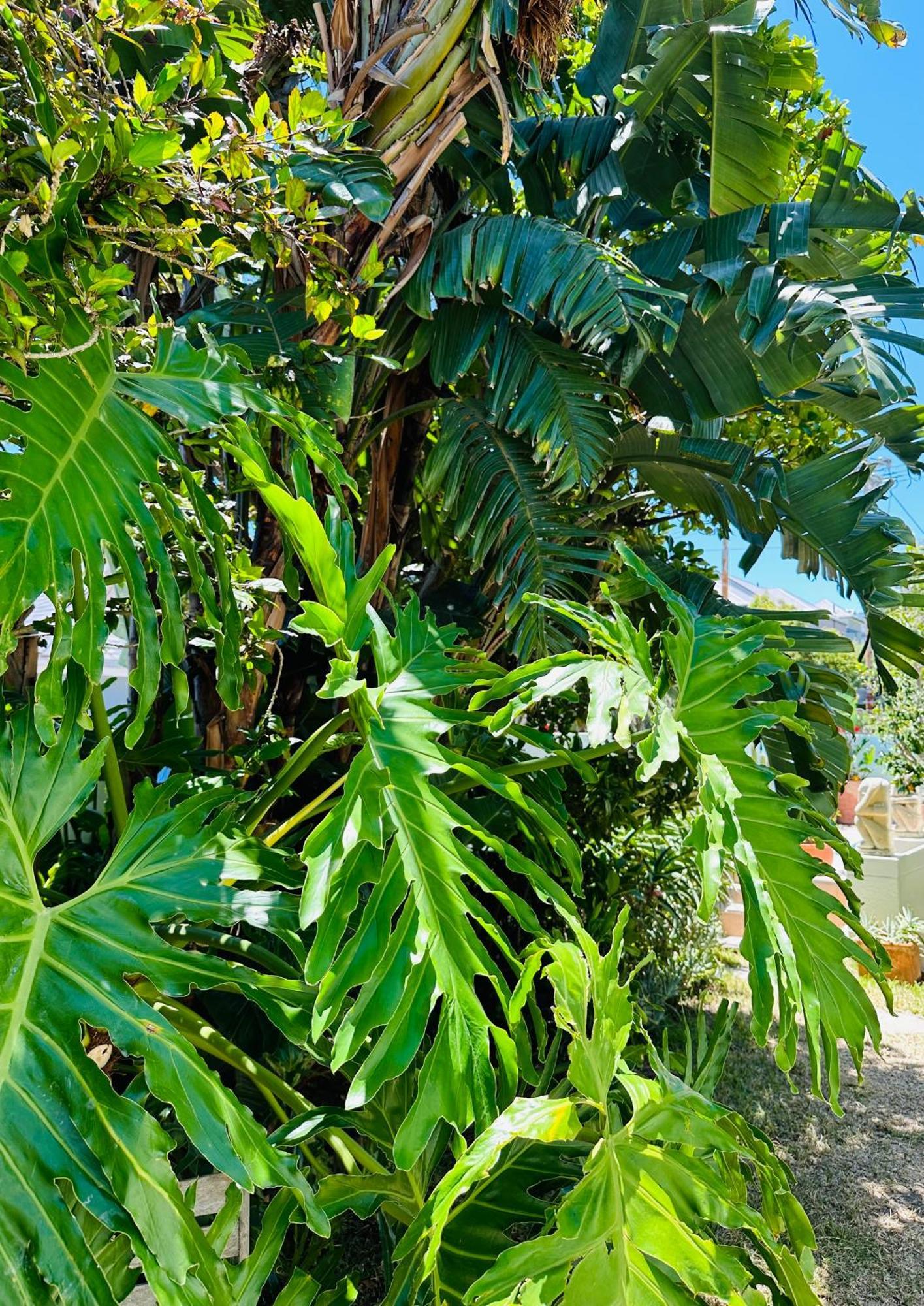 Loloho Lodge - 24H Solar Power Ciudad del Cabo Exterior foto